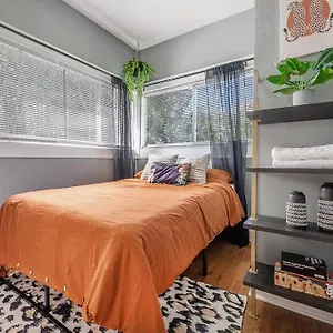 Jungle Themed Apt. Close To Coffee, Food + Shops! Apartment Tampa